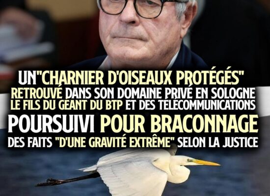Olivier Bouygues, milliardaire écocidaire