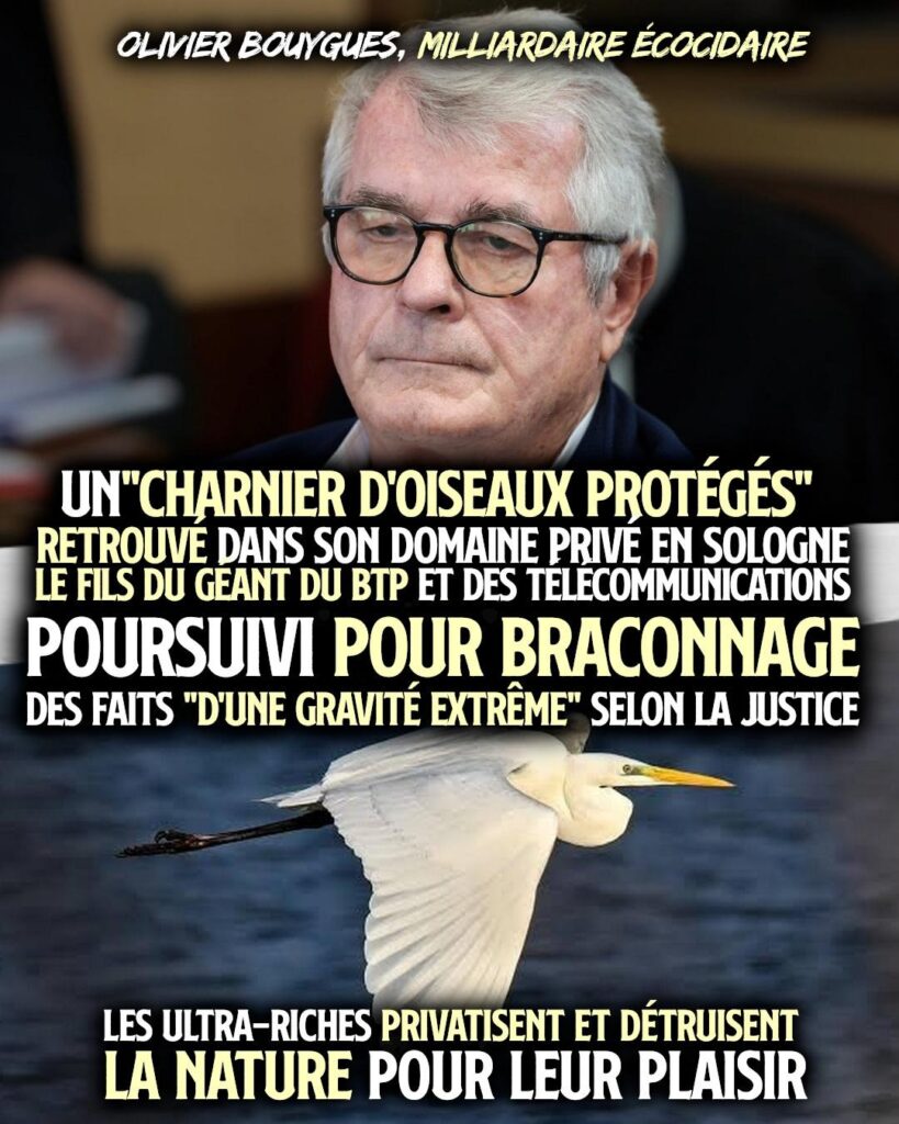 Olivier Bouygues, milliardaire écocidaire