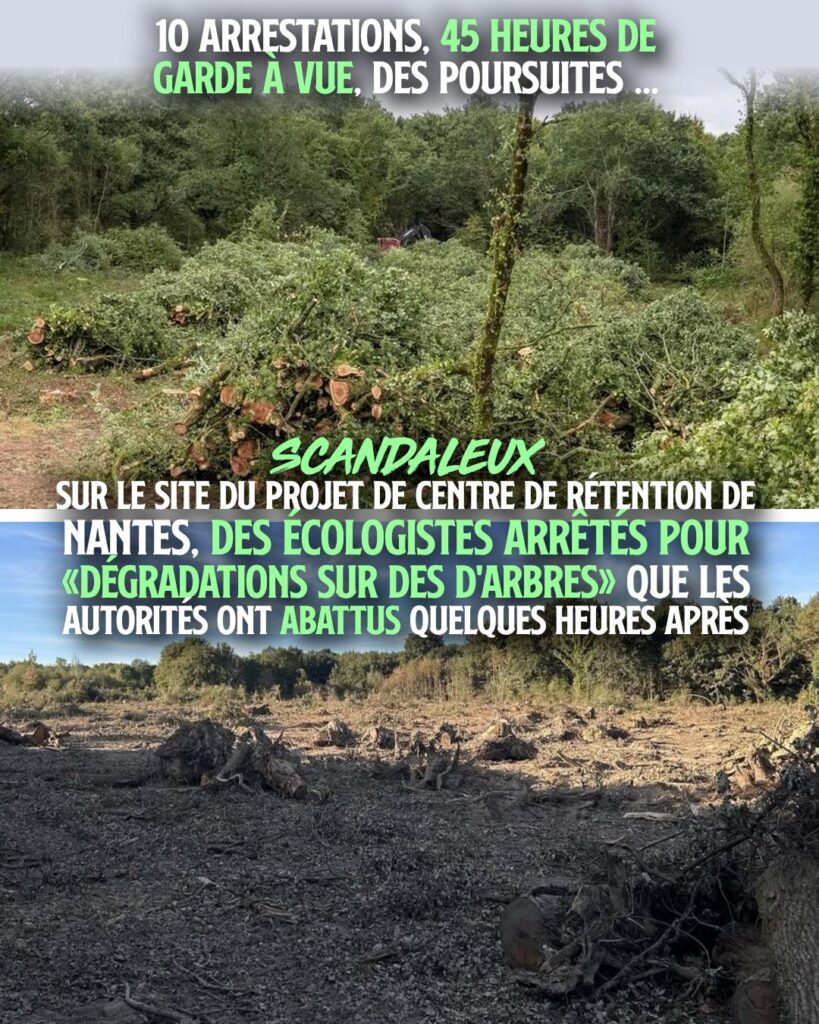 Les arbres abattus du Bois Dormant, au nerd-est de Nantes, pour y construire un CRA, une prison pour étrangers
