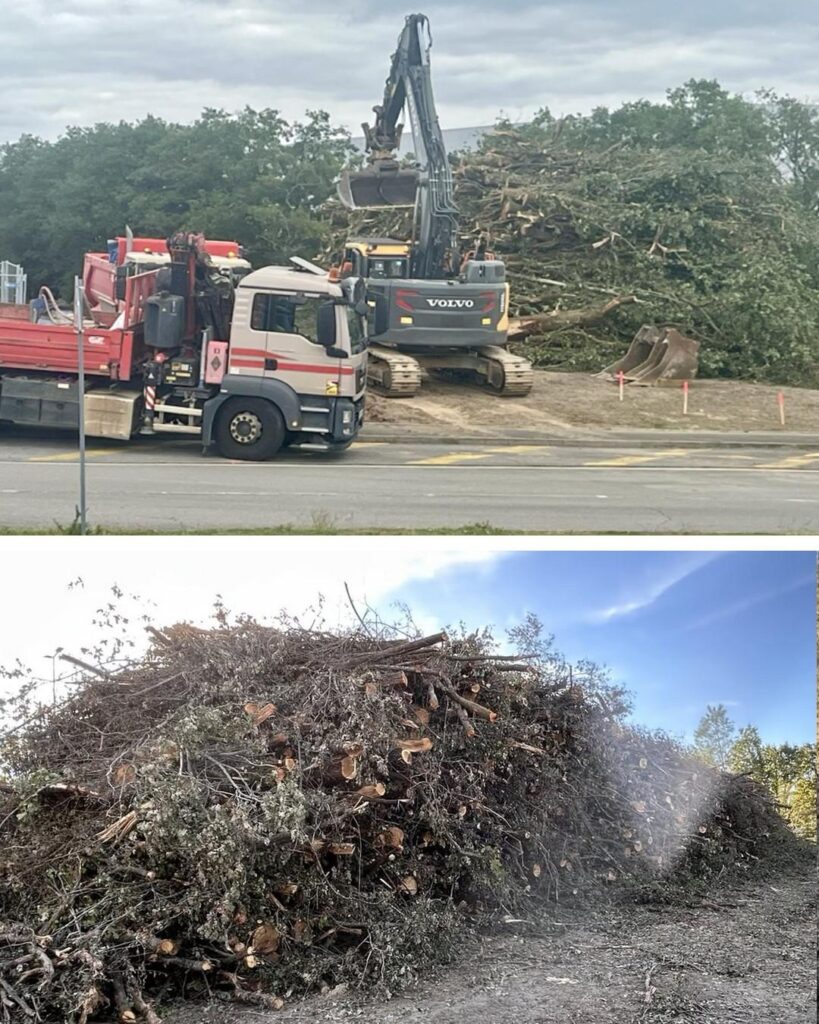 Les machines en action pour déboiser le plus vite possible afin de construire une prison raciste.