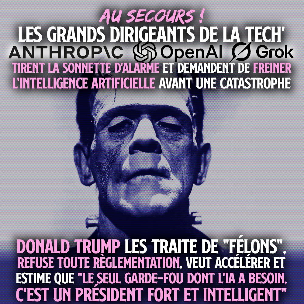 La créature du docteur Frankenstein, une monstruosité ni morte, ni vivante, qui symbolise un peu ce que pourrait être l'IA en étant incontrolable.