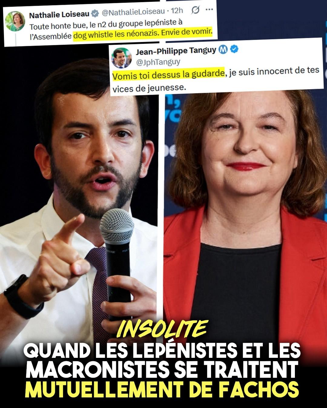 Jean-Philippe Tanguy et Nathalie Loiseau, deux fachos qui s'accusent mutuellement d'être des fachos sur les réseaux sociaux.
